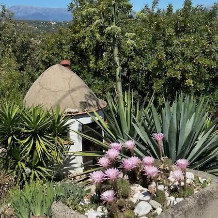 Casa Patzu